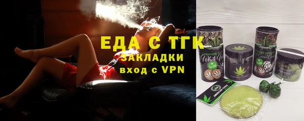 СК Инта