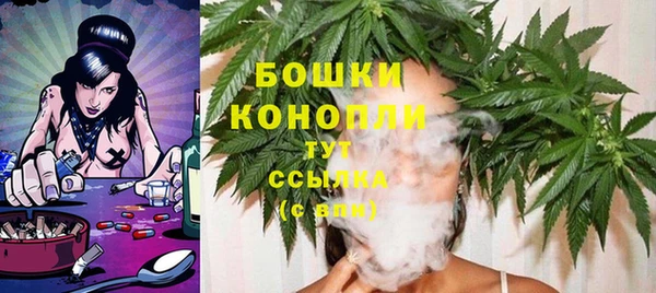 СК Инта