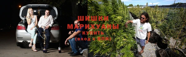 a pvp Иннополис